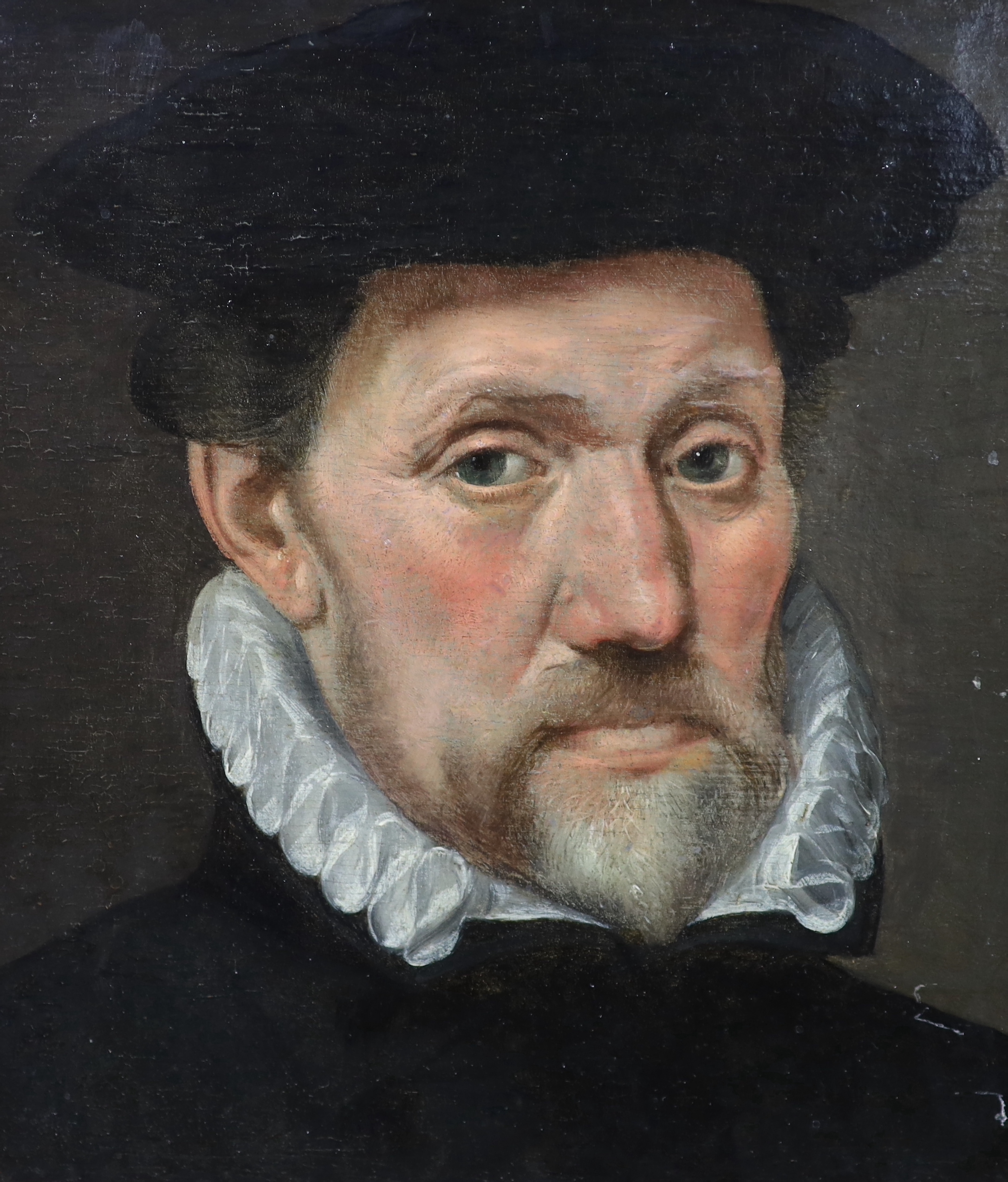 17th century Flemish School, Head study of a gentleman, oil on panel, 23 x 20cm